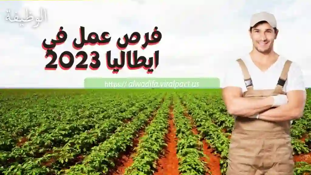 فرص عمل في ايطاليا 2023..مطلوب 30000 عمال وعاملات فلاحيين موسميين بدون شهادة أو دبلوم