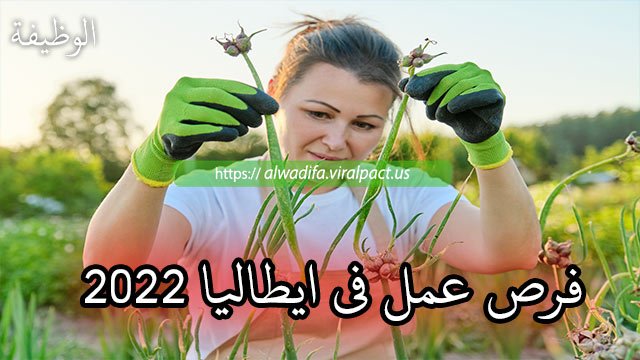 فرص عمل في ايطاليا 2022